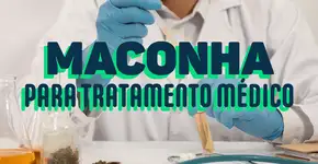 Decisão da Anvisa deve liberar a maconha medicinal no país