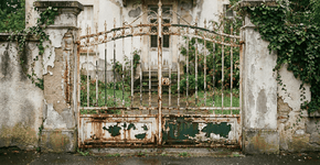 Foto: (Imagem sem texto alternativo disponivel ID [2761808])