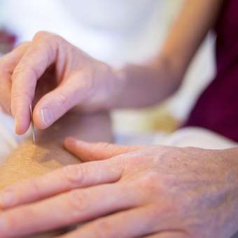 Featured mobile: Acupuntura no outono fortalece imunidade e previne doenças respiratórias