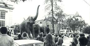 PUC-SP relembra resistência à ditadura com histórias e cronologia do golpe