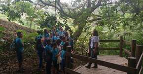 Educação ambiental e preservação