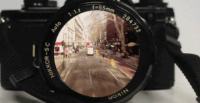 Foto: (Imagem sem texto alternativo disponivel ID [1034337])