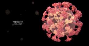 É possível se contaminar mais de uma vez pela Ômicron?