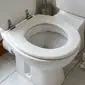 Da redação: Poucos sabem por que não se deve limpar o assento do vaso sanitário com papel higiênico