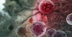 Reduz o colesterol, previne o câncer e mais: veja os benefícios da pitaya