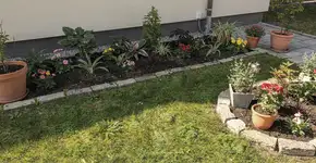 Foto: (Imagem sem texto alternativo disponivel ID [2722030])