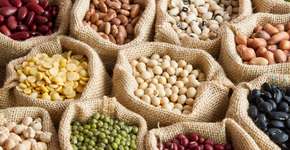 Foto: (iStock/piyaset)