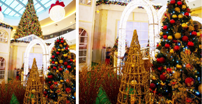 Foto: (Imagem sem texto alternativo disponivel ID [2186223])