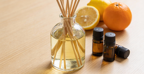 Foto: (Imagem sem texto alternativo disponivel ID [2679818])