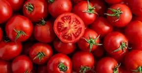 Composto do tomate pode aliviar a depressão