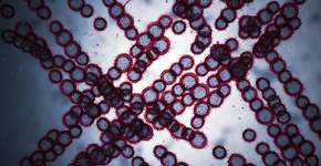 Foto: (BlackJack3D/istock)