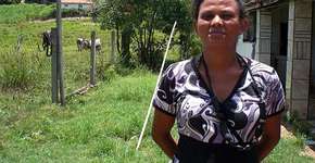 Foto: (Imagem sem texto alternativo disponivel ID [861495])