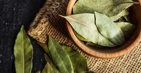 3 simpatias para ter mais sorte em abril