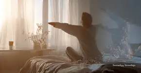 Três movimentos na cama acabam com a preguiça matinal