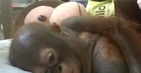 Foto: (Imagem sem texto alternativo disponivel ID [793963])